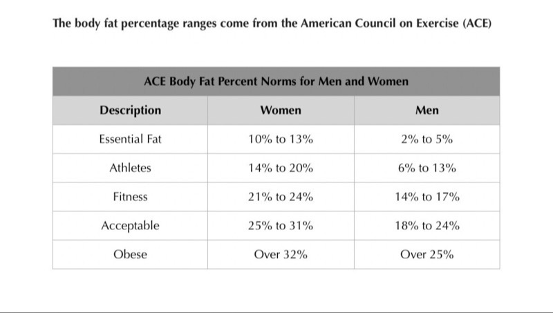 Body Fat Percentage