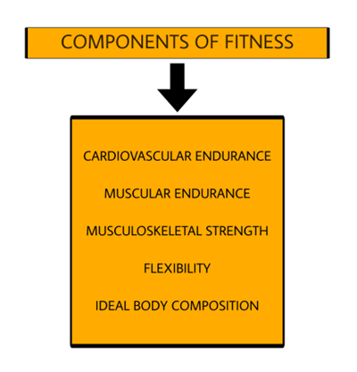 Understanding Fitness: What Does It Mean?