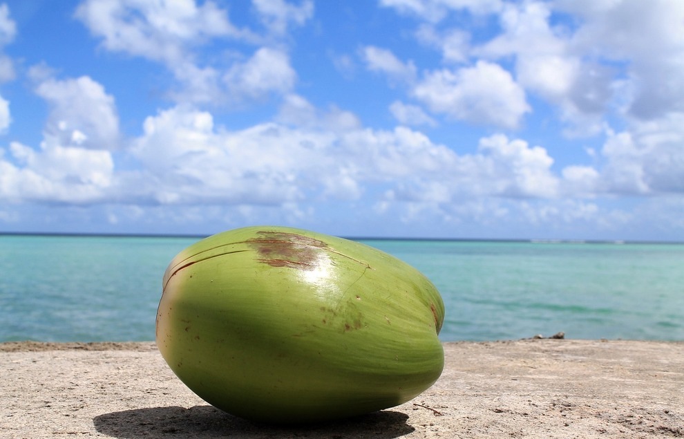 The Magical Water - Coconut Water