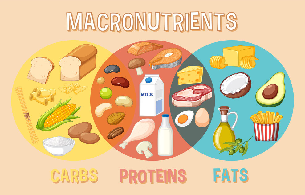 Macros and Micros